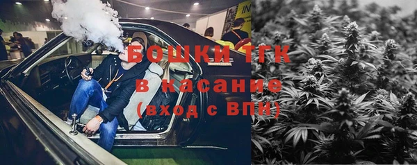 ешки Арсеньев