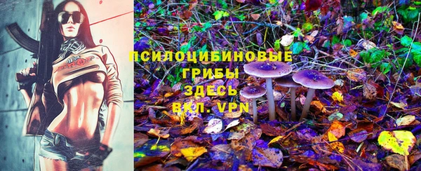 ешки Арсеньев
